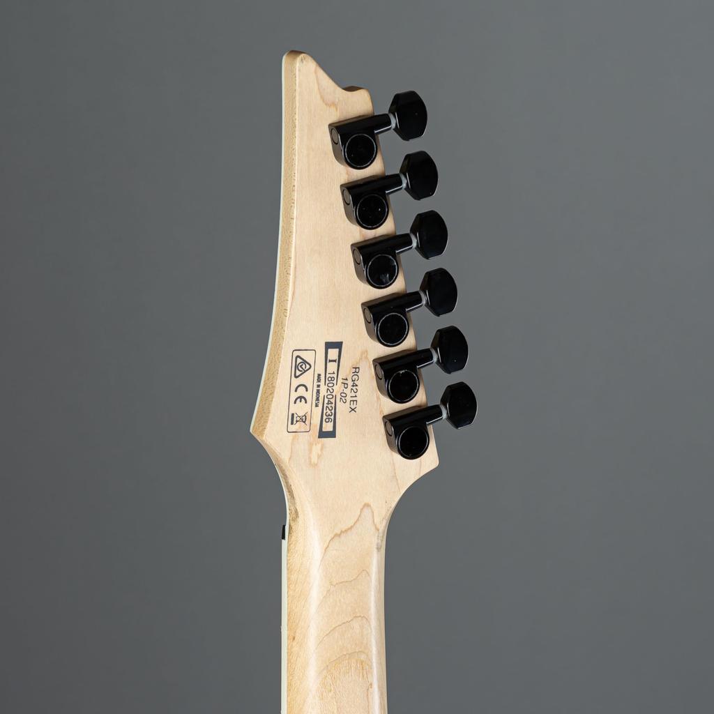 IBANEZ RG421EX-BKF Electric Guitar, Black Flat