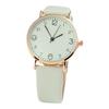 Plus Nao Watch Round Analog Ladies Watch Simple Pretty Stylish Cute Going Out Green (Plus Nao) Women's -