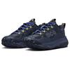 ACG Mountain Fly 2 GORE-TEX Low Midnight Navy - HF6245-400 Мужская обувь