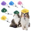 Pet Supplies Cat Funny Hat Cartoon Dog Sun Protection Hat Cute Cat Top Hat