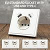 Европейская розетка, Розетка Schuko, Порты для зарядки USB Type-C, 16А 250В - 80×80 мм, Большая плата из поликарбоната, Современная настенная розетка