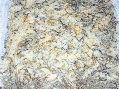 Hokkaido-produced 250g pack furikake cod kelp includes aosa tarakombu (tarakon) convenient zip bag.