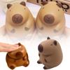 TPR Capybara Squeeze Toy Коричневые декомпрессионные игрушки Подарочные сжимаемые игрушки для взрослых