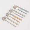 Snail Living Dana Spoon Set of 4, Cream White, Light Brown, Warm Gray, Mint, 4 Spoons + 4 Chopsticks, 1 Set, Korean Popular Tableware