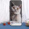 Кошка Британская короткошерстная Для Samsung Galaxy A36 A26 A16 A05 A06 A54 A34 A14 A22 A32 A52 A55 A35 A15 A53 A13 A56 Чехол