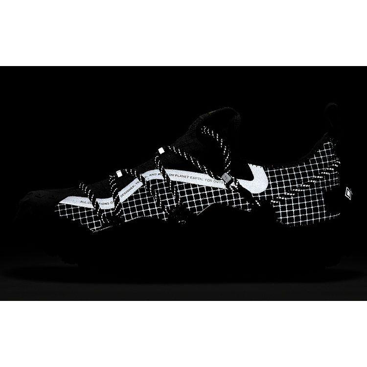 Nike ACG Mountain Fly Low GTX SE Dark Smoke Grey Unisex Sneakers Black Iron-Grey DD2861-002