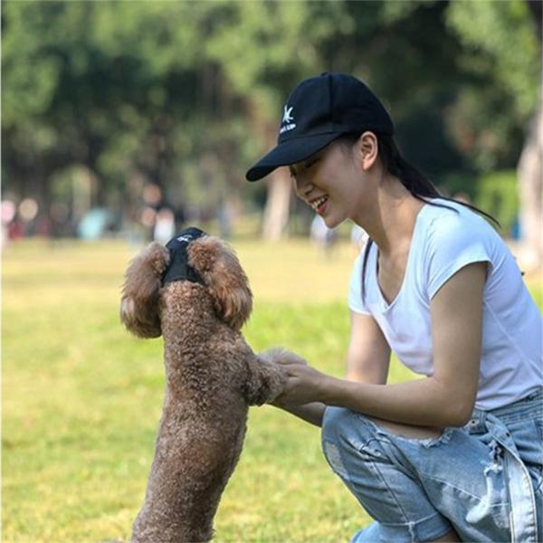 Открытый путешествия собака кошка шляпа от солнца бейсболка для домашних животных