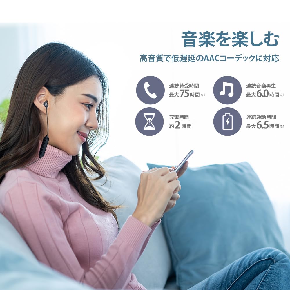 Premium Style Bluetooth Wireless Stereo Tough Black 5.0 Earphones, Cable/In-Ear Type, (PG-BTE12CE1BK)