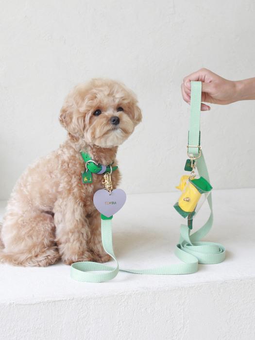 MAISON DE MIU Petsnal Color Leash Mint