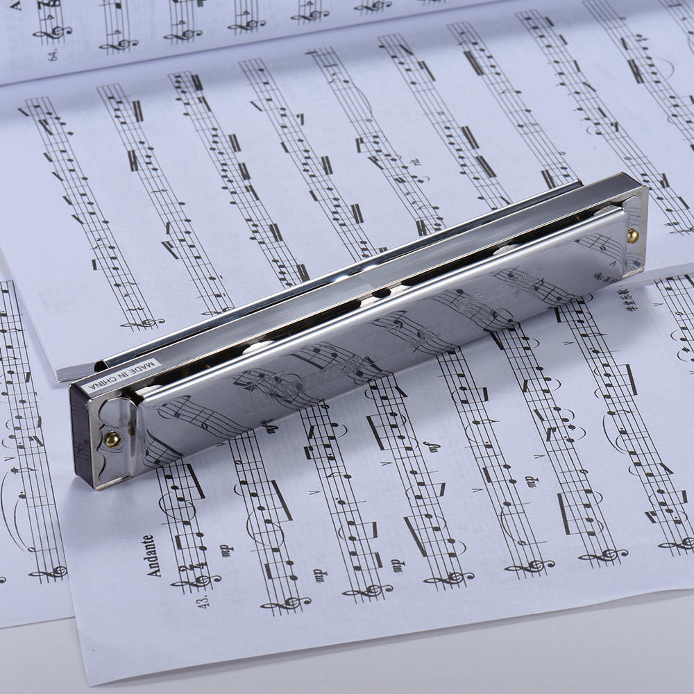 Suzuki W-24 24 отверстия губная гармошка тремоло тональность C с коробкой музыкальный инструмент для начинающих студентов