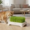 Soilless Wheat Grass Seedling Pot Kit for Cats Indoor Planting Pet-Friendly Design