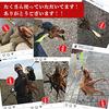 Такоден (Такоден) нет. 3.5 Диаграмма Белый Аззурро Такоэги Ловля Осьминога
