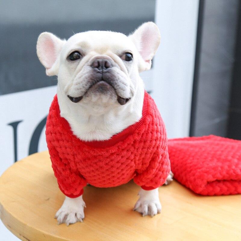 Осенняя теплая одежда для собак, пуловер для домашних животных, милый медведь, вышитый, весенний свитер, жилет, чихуахуа, плюшевый маленький пушистый свитшот, одежда для домашних животных