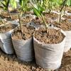 100Pcs Biodegradable Non-Woven Nursery Bags Fabric Eco-Friendly Planting