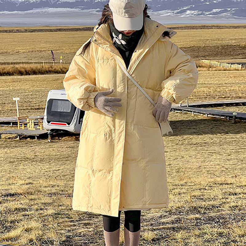 Женская зимняя студенческая длинная пуховая куртка на хлопковой подкладке, утолщенное свободное пальто с капюшоном