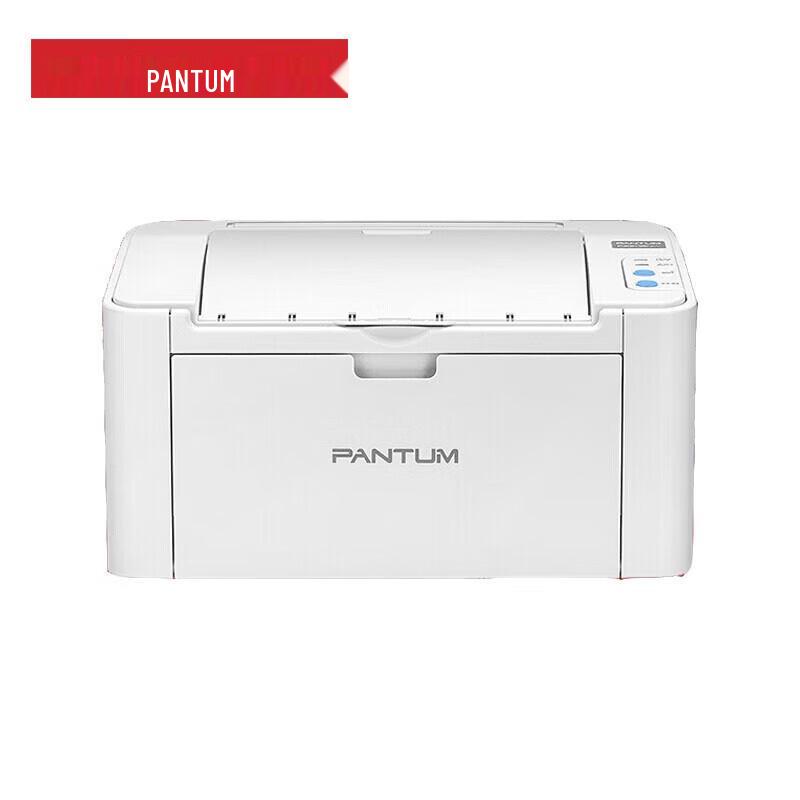Pantum P2206NW Monochrome Laser Printer CN plug (adapter included)