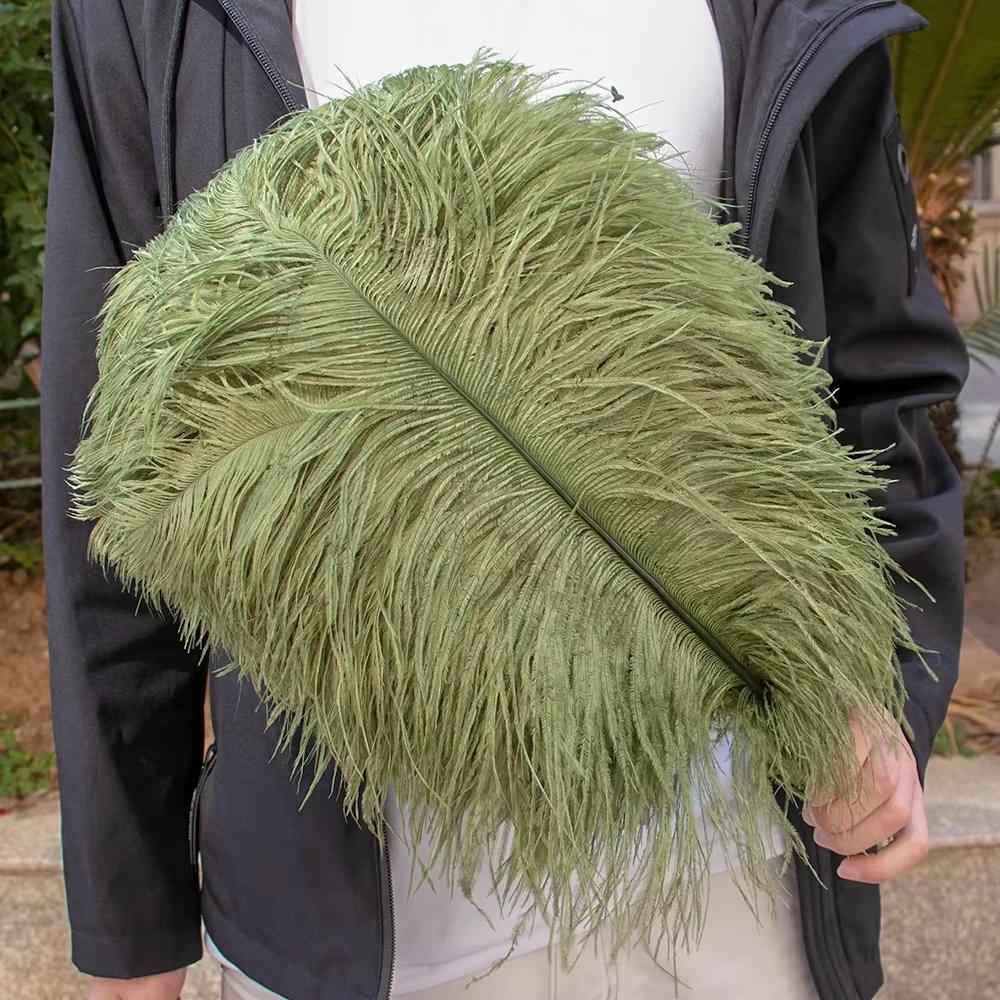 15-60Cm Natural Ostrich Feathers | High-Quality For Diy, Wedding, Party, Stage, Costume & Home Decor | Various Colors Available