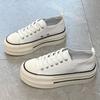 Маленькие низкие парусиновые туфли для женщин, весенние НОВЫЕ туфли для скейтбординга с круглой головкой и толстой подошвой для студентов, универсальная повседневная обувь на платформе