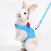 1 Set Pet Harness Leash Stylish Bow Decoration Small Pets Rabbit Traction Harness for Outdoor Walking