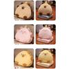 Stuffed Capybara Cartoon Hand Warmer Air Conditioning Blanket Office Backrest  Bedside