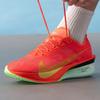 Nike Мужские беговые кроссовки HF6414-600