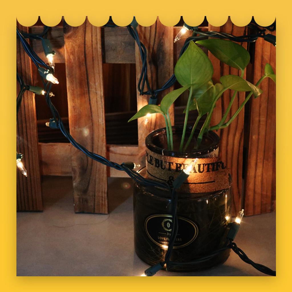 100 Light Christmas Decorative Lights US Standard Tungsten Filament Pull String Light String Outdoor Colored Light String