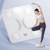 Little Bear Smart Body Fat & Weight Scale (CN version)