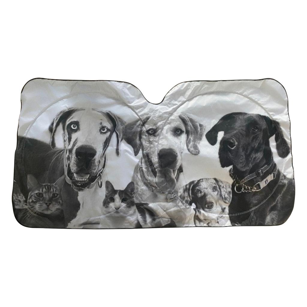 Персонализированные фотографии на заказ Автомобильный солнцезащитный козырек Передний Утолщенный Титановый Автомобильный интерьер Теплоизоляционная доска Солнцезащитный козырек Лобового стекла Теплоизоляция