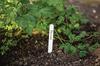 Plant Signs Garden Markers Labels 15X1.5Cm 25Pcs