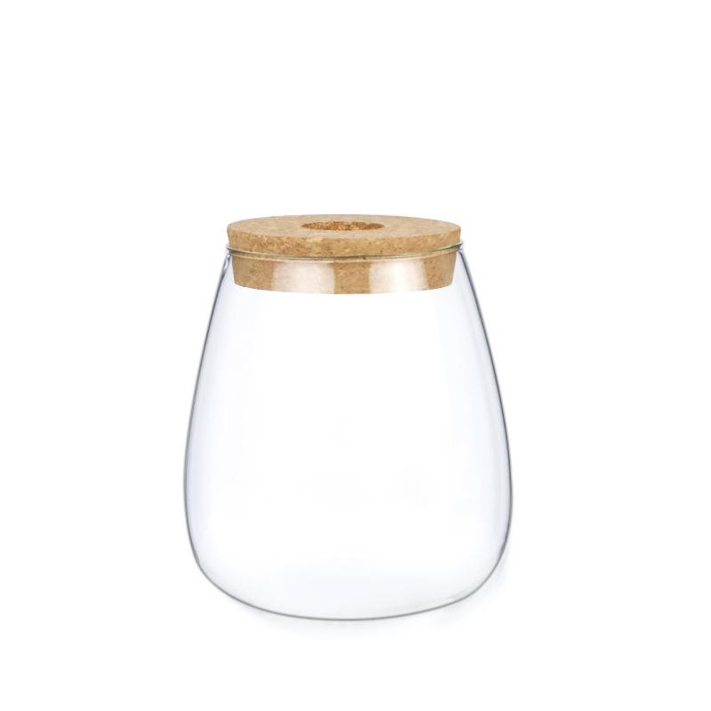 Mini Glass Flower Pot for Indoor Plants - Hydroponic Ornament with Moss Landscape