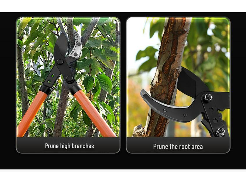 Heavy Duty Extendable Pruning Shears - SK5 Coarse Branch & Fruit Tree Pruner for Landscaping & Gardening