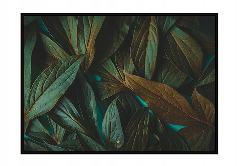 Picture poster In a frame 53x73 cm Leaves P1125