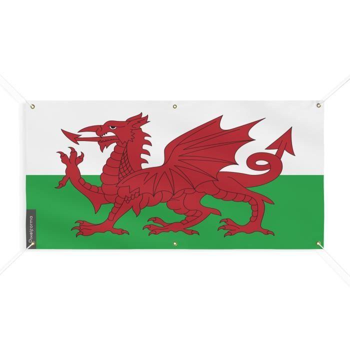Bannière Drapeau du pays de Galles 6 Oeillets 150x300cm en polyester