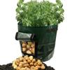 Practical And Lightweight Garden Plant Tools For Homegrown Food On Balconies And Patios