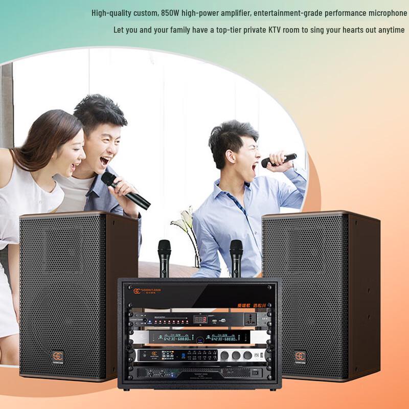Songchuan SP101 Home KTV Professional Audio System CN plug (adapter included) (CN version)
