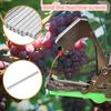 Vegetable Tapes Seedling Binding Vine Tool efficient Vegetable Tapener  Grape Vine