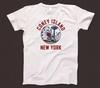 Coney Island New York T Shirt 831 Brooklyn Amusement Park Luna Roller Coaster