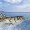 20pcs Weedless Barbed Fishing Hook Single Hook Carp Fishing Hook New Fly Hook