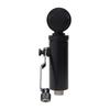Lauten Audio Front Address Large Diaphragm Condenser Microphone LS-308