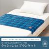 Nishikawa Snoopy Blanket 100X70cm Washable Blue FQ94407001 PN4658 Check Face Cushion-in