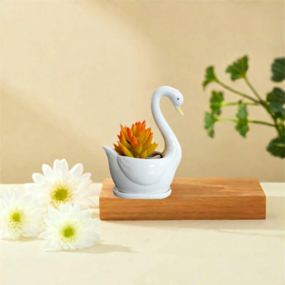 Creative White Swan Flower Pot Personalized Animal Vase Hydroponic Flower Holder  Birthday