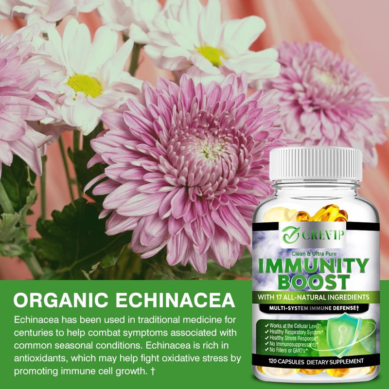 GREVIP - Vitamin C & 1000mg Elderberry Blend Capsules - Immune System Health