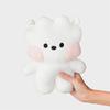 LINE FRIENDS BT21 RJ Minini Big & Tiny Standing Doll (M)