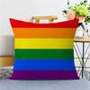 LGBTQ Art Pride Lesbian Gay Rainbow Flag Pillow Anime Pillow Sofa Bed Head Pillow Cover Cushion Cover x cm Fashion