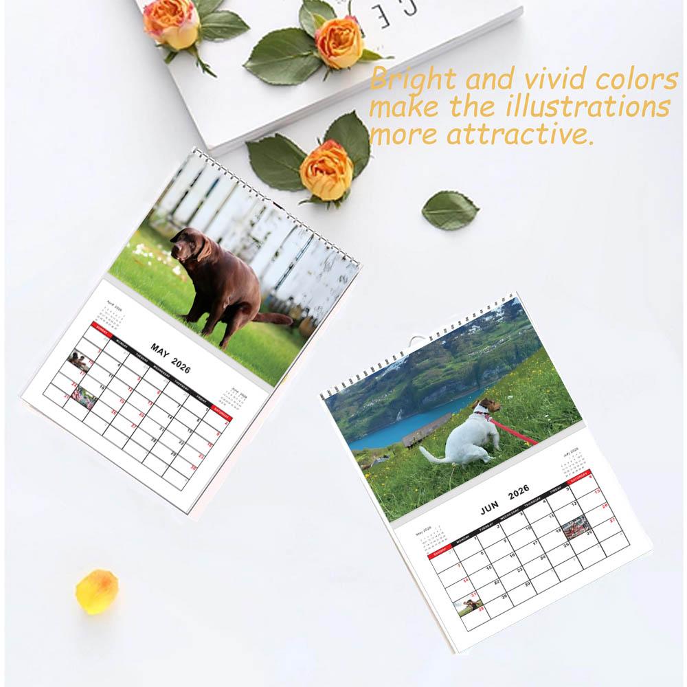 Calendar 2026 Dogs Pooping In Beautiful Places Funny Gag Gifts Thick Paper Wall Calendar Holiday Christmas White Elephant Gifts