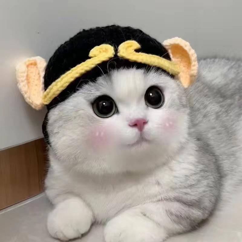 Костюм для питомца собаки кошки шляпа головной убор для котенка забавный милый головной убор реквизит для фото эксцентричная вязаная шапка