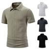 Men's Casual Short Sleeve Polo Shirt Solid Color T Shirt Vacation Holiday Beach Fashion