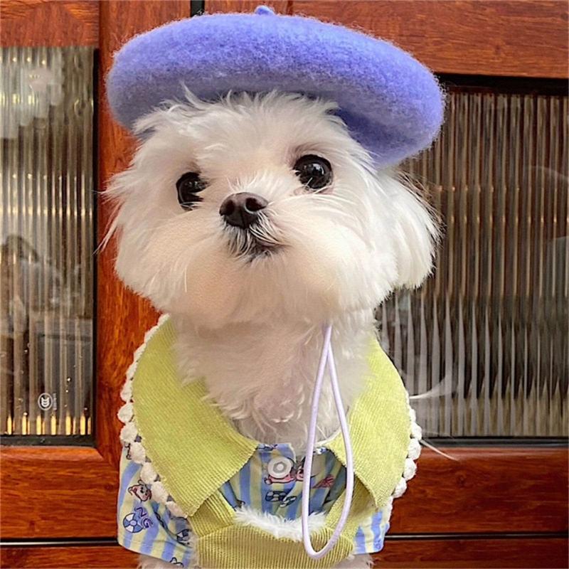 Creative Pet Beret Hat for Cats and Small Dogs Soft Wool Top Caps for Costumes and Holiday Photoshooting Headwears
