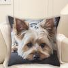 Наволочка из короткого плюша с принтом собаки, Наволочка на тему животных, Домашний декор, Декор для спальни, Архитектурный коллекционный предмет (исключая наполнитель для подушки)