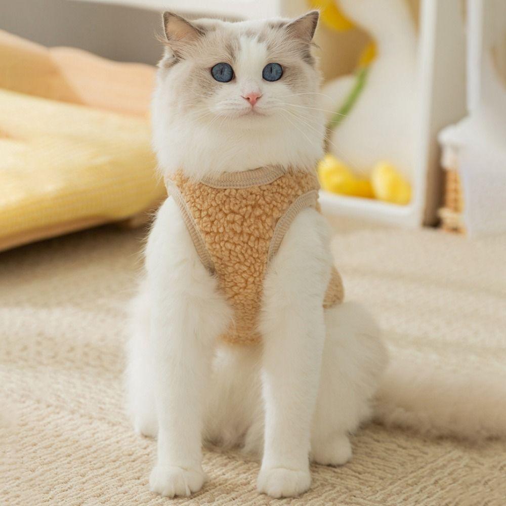 Теплый плюшевый жилет для собак с изображением динозавра, зимняя одежда для кошек, двуногая одежда для кошек и собак